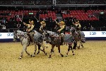 Quadrille - 00916